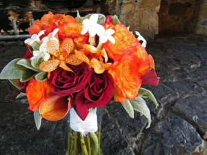 DSCF5876.jpg