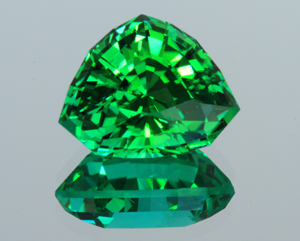 TourmShield932%20300.jpg