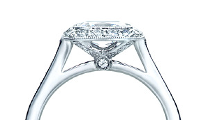 Tiffany_Legacy_0.png