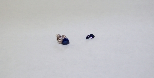 100_1155.jpg