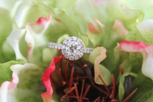 ring%20in%20flower%201.jpg ring%20in%20flower%201.jpg