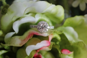 ring%20in%20flower%202.jpg ring%20in%20flower%202.jpg