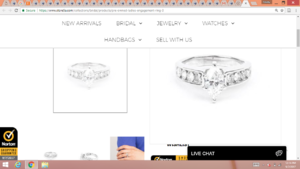 E-ring site picture.png