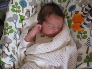 2010%2008%2008_0238.jpg