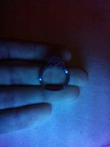 IMG_0133_0.jpg