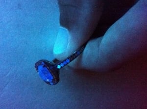 IMG_0129.jpg