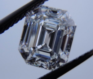 r3685f.jpg