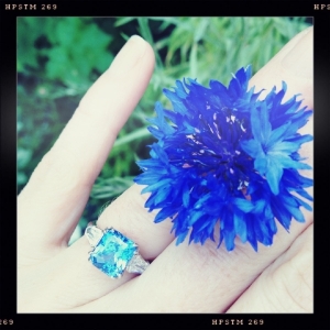 cornflower%20and%20ring.jpg