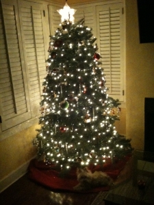 tuffy%20christmas%20present.jpg