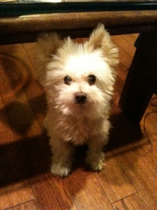 tuffy.jpg