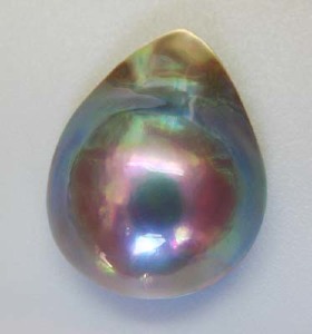18__50077.jpg