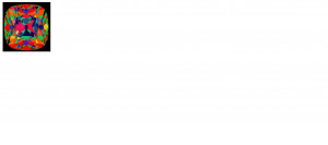 aset_1.png