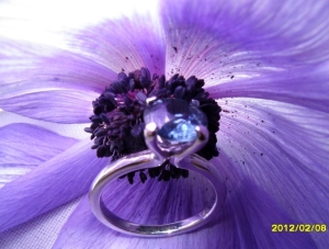flower%20two.jpg