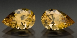 GoldenTopazPairW.jpg