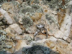 Ring2b.jpg