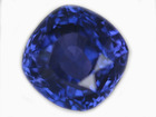 cornflower.jpg