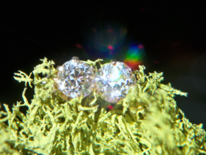 1.31cttw%20oec%20earrings%20019.png 1.31cttw%20oec%20earrings%20019.png