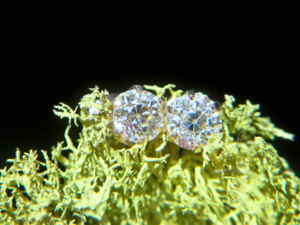 1.31cttw%20oec%20earrings%20020.png 1.31cttw%20oec%20earrings%20020.png