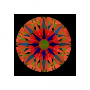 D01c.jpg