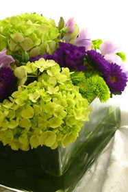 green_flowers_847_10_m.jpg