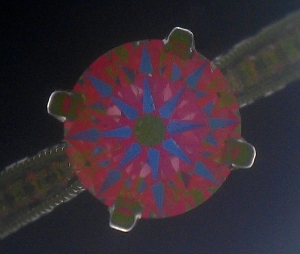 AGS_SI1_F_59_60.5_AGS_SCOPE-contrast_enh_size_0.jpg