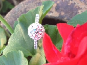 ring3_2.jpg