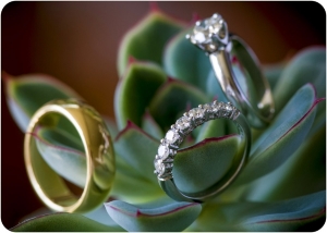 wedding%20rings-2.jpg wedding%20rings-2.jpg