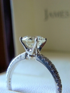 ring%20in%20sunlight.jpg