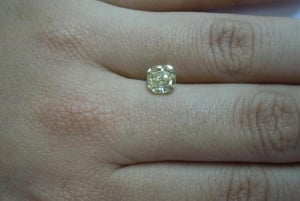 r4537-handshot2.jpg
