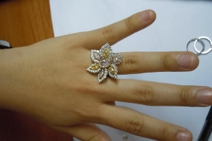 pink-flower-hand2.jpg pink-flower-hand2.jpg