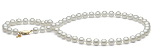 Freshadama%20white.jpg Freshadama%20white.jpg