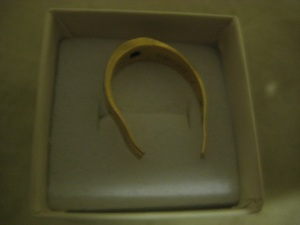 RingSideBZukermanAgain.jpg