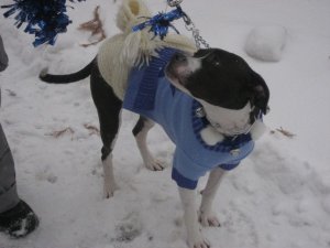 BaiwithScarf.jpg
