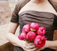 Blushingbridedresses.jpg