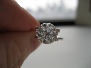 IMG_0677smaller.JPG