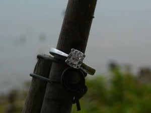 ringvirginiavacation027.jpg