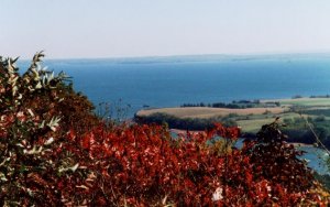 LookOff9.JPG