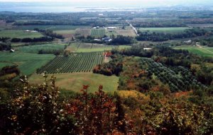 LookOff7.JPG