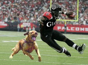 gia-vick.jpg