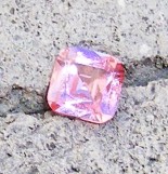 DSCF0393.JPG