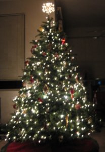 Gypsy Christmas without Flash.jpg