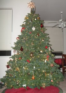 Gypsy Christmas with Flash.jpg