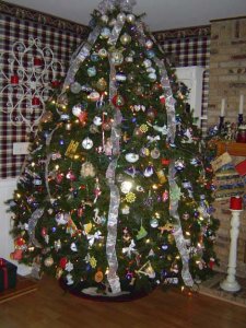 cmsfrtree2008.jpg