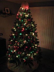 Tree10243.JPG