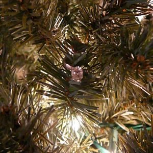 Christmas_tree_ring.jpg