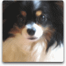 DECOGIF2.gif DECOGIF2.gif
