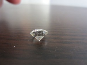 IMG_0181_0.jpg