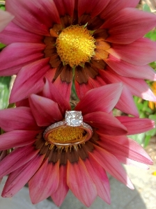 flower_1.jpg