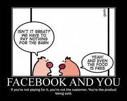facebook_cartoon.jpg