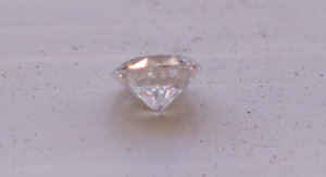 dsc02603.jpg